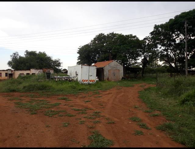 171HA FARM FOR SALE IN LOUIS TRICHARDT RURAL